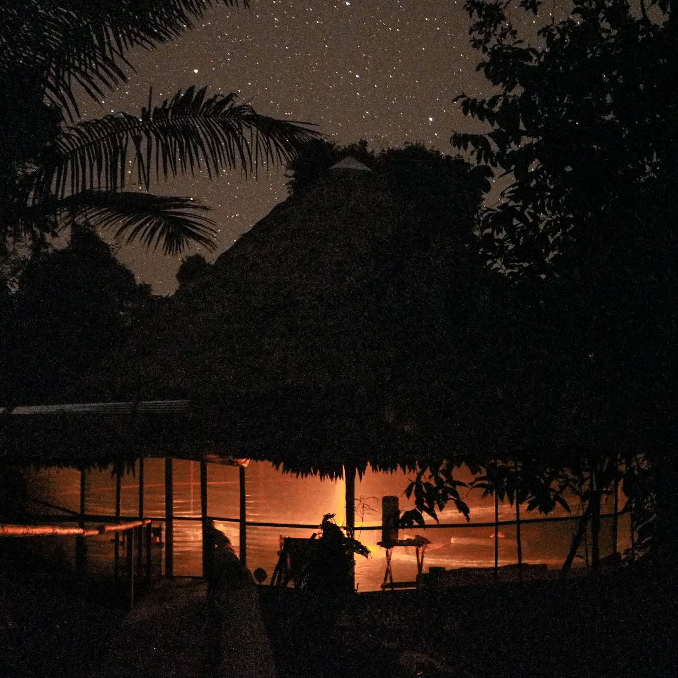 Ritiro di Ayahuasca di 14 Giorni