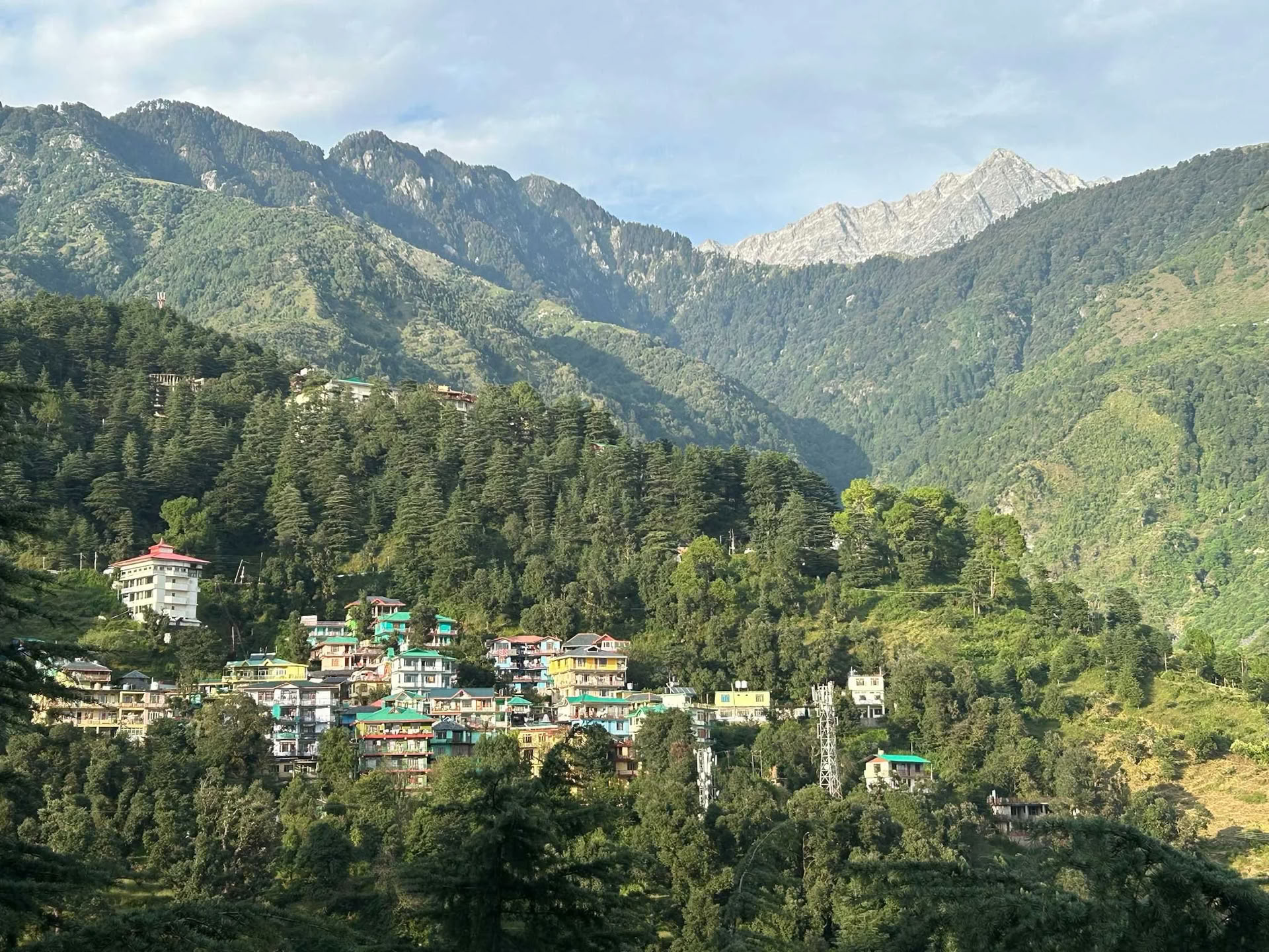 Himalayas Wellness Ritiro