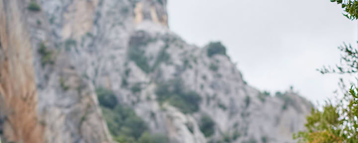 Beginning Anew : Yoga, Mindfulness, Art & Natura Ritiro