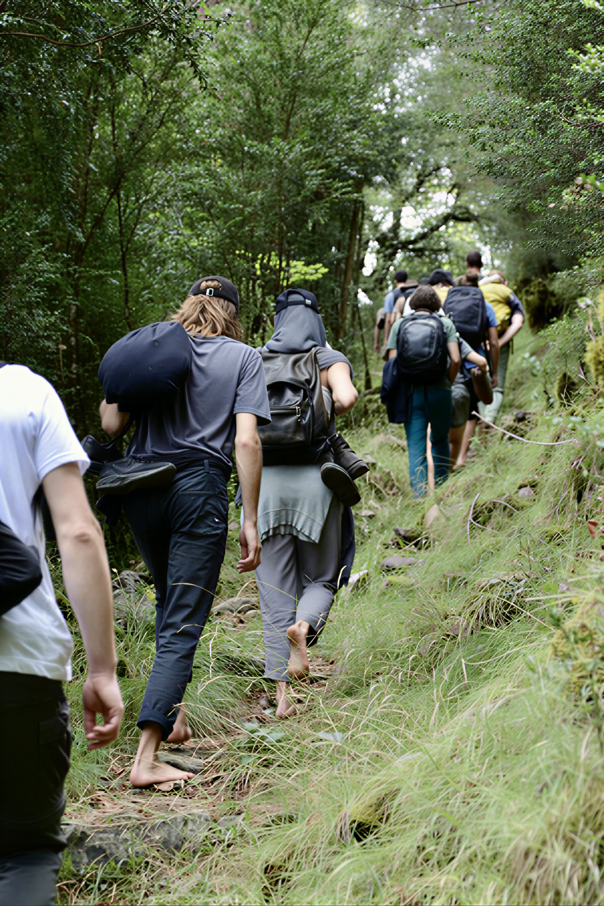 The Peace in the Wild: Yoga, Art & Nature Ritiro