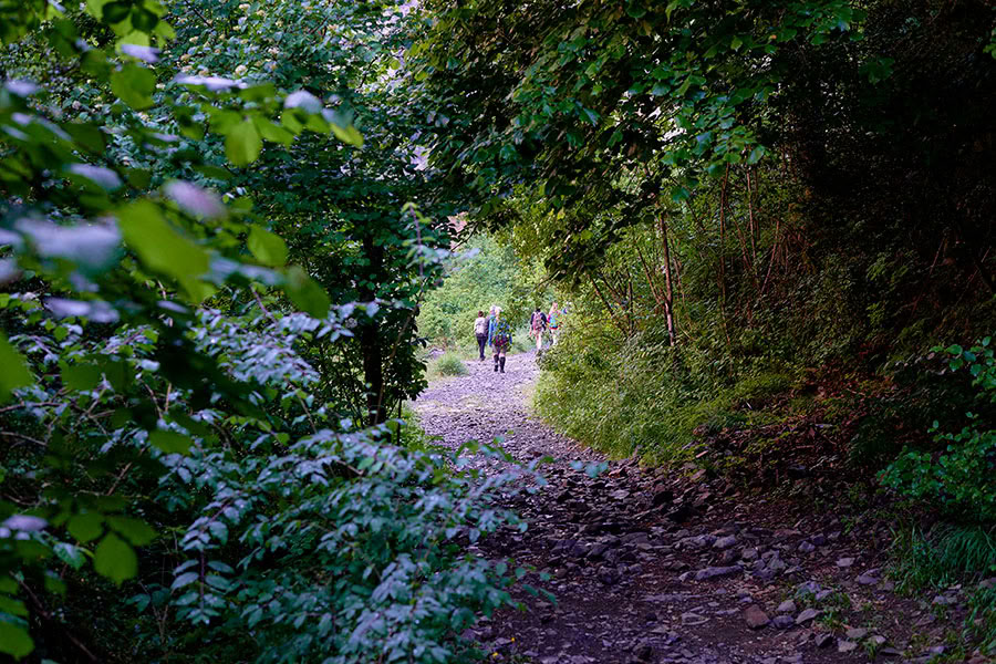 Reverence for life: Yoga, Mindfulness & Hiking Ritiro