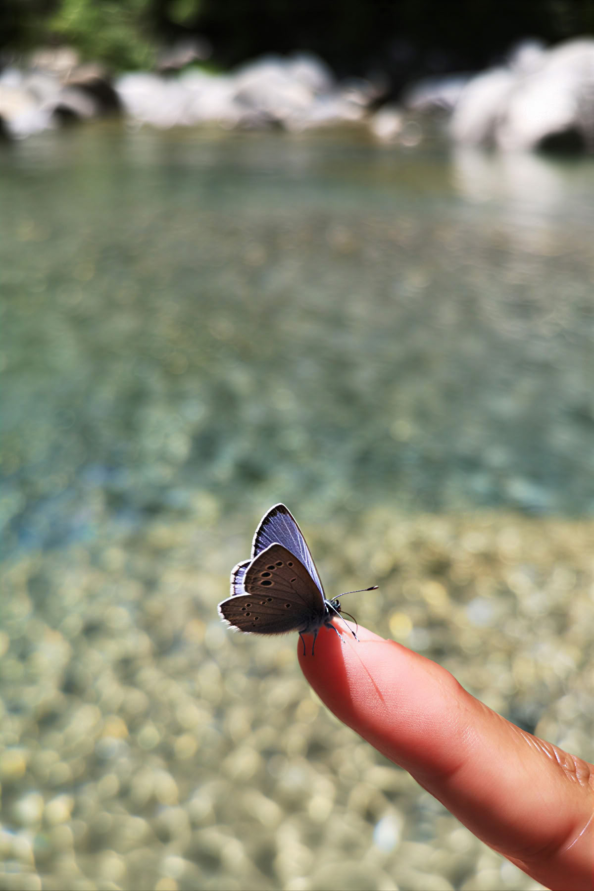Reverence for life: Yoga, Mindfulness & Hiking Ritiro