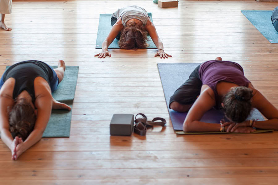 Reverence for life: Yoga, Mindfulness & Hiking Ritiro