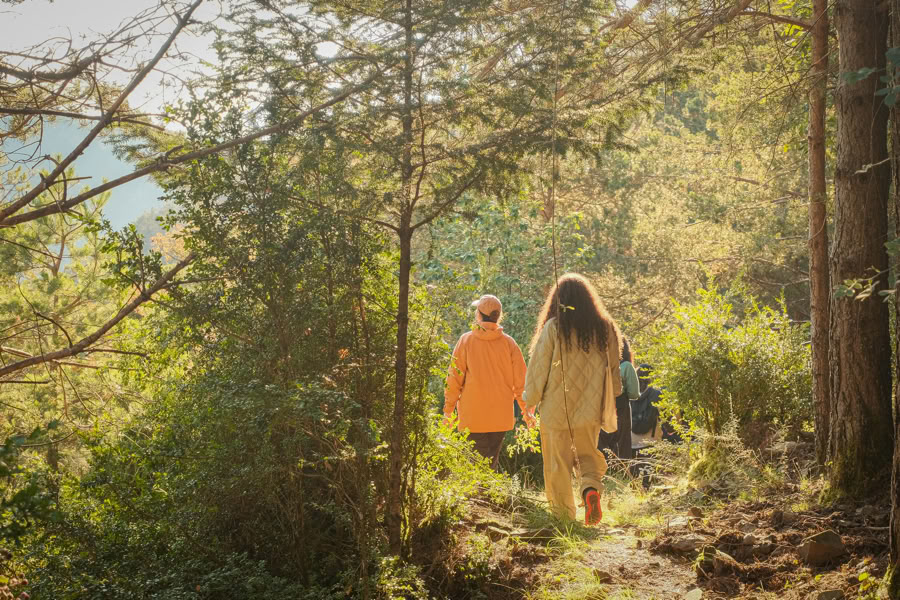 Forest Bathing: Ritiro di Yoga, Arte e Natura