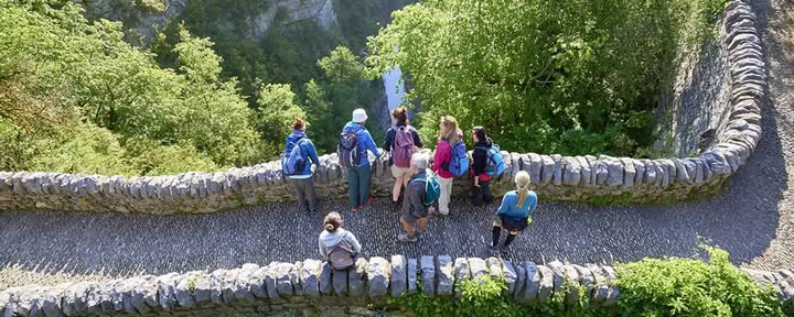 Forest Bathing: Ritiro di Yoga, Arte e Natura