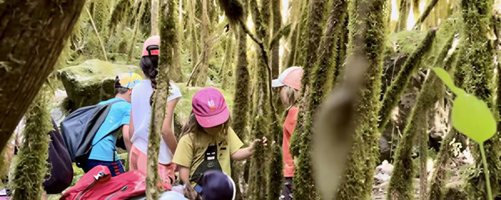 Vacanze in famiglia: Yoga, Mindfulness, Arte e Natura