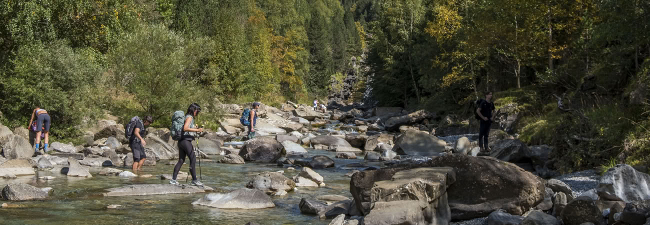 Reverence for life: Yoga, Art & Nature Ritiro