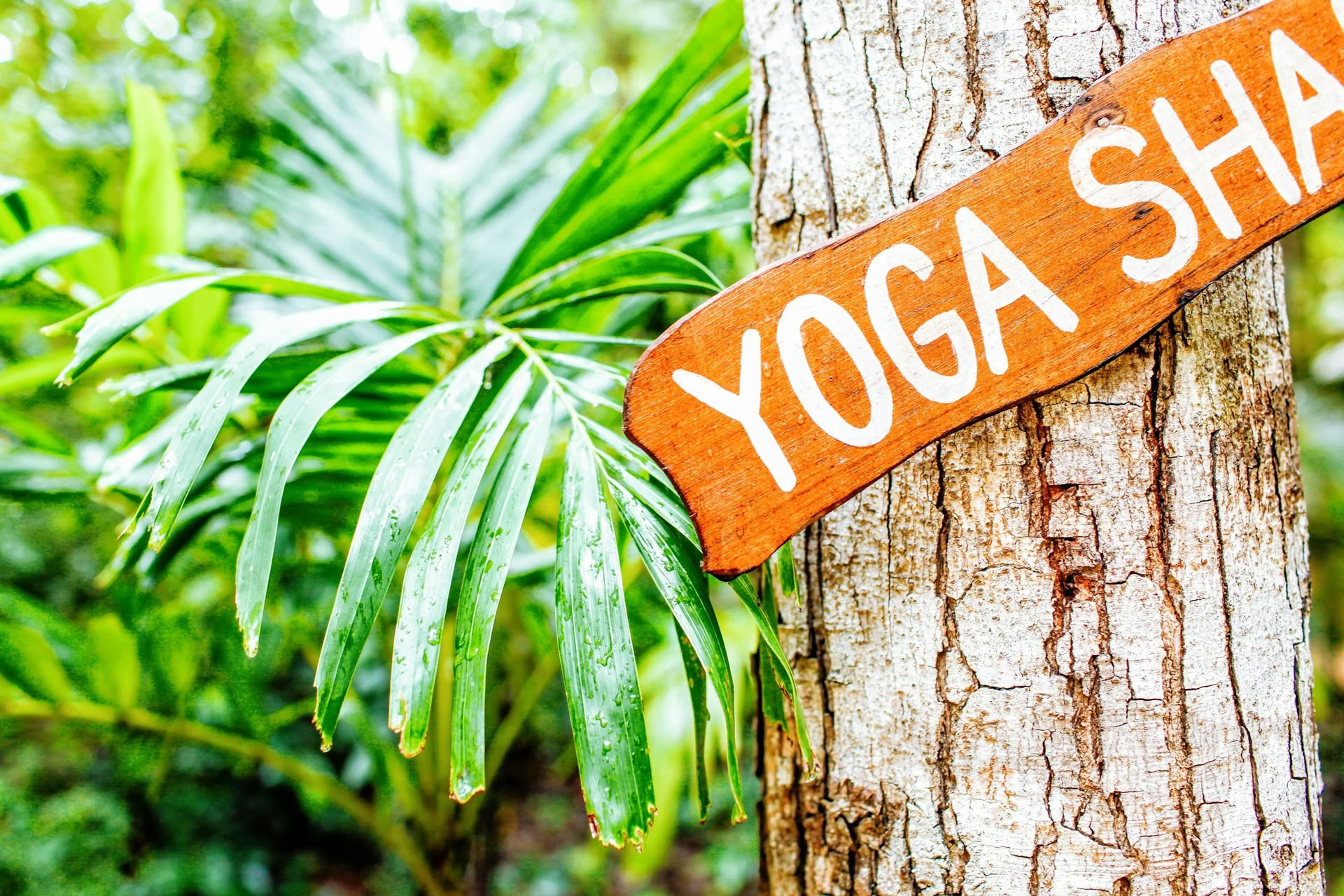 Ritiro di immersione nell’Ashtanga Yoga