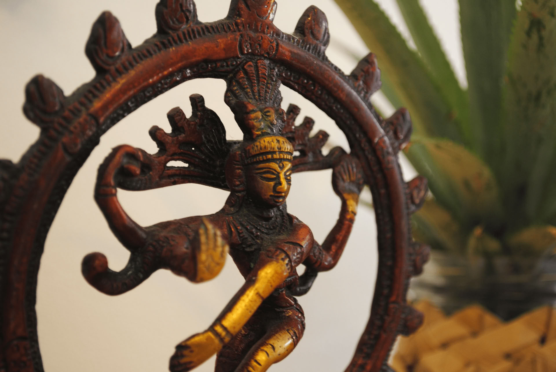 Ritiro Sahrdaya Yoga