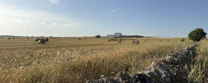 Conversations with Place: Una residenza creativa a Masseria Specula
