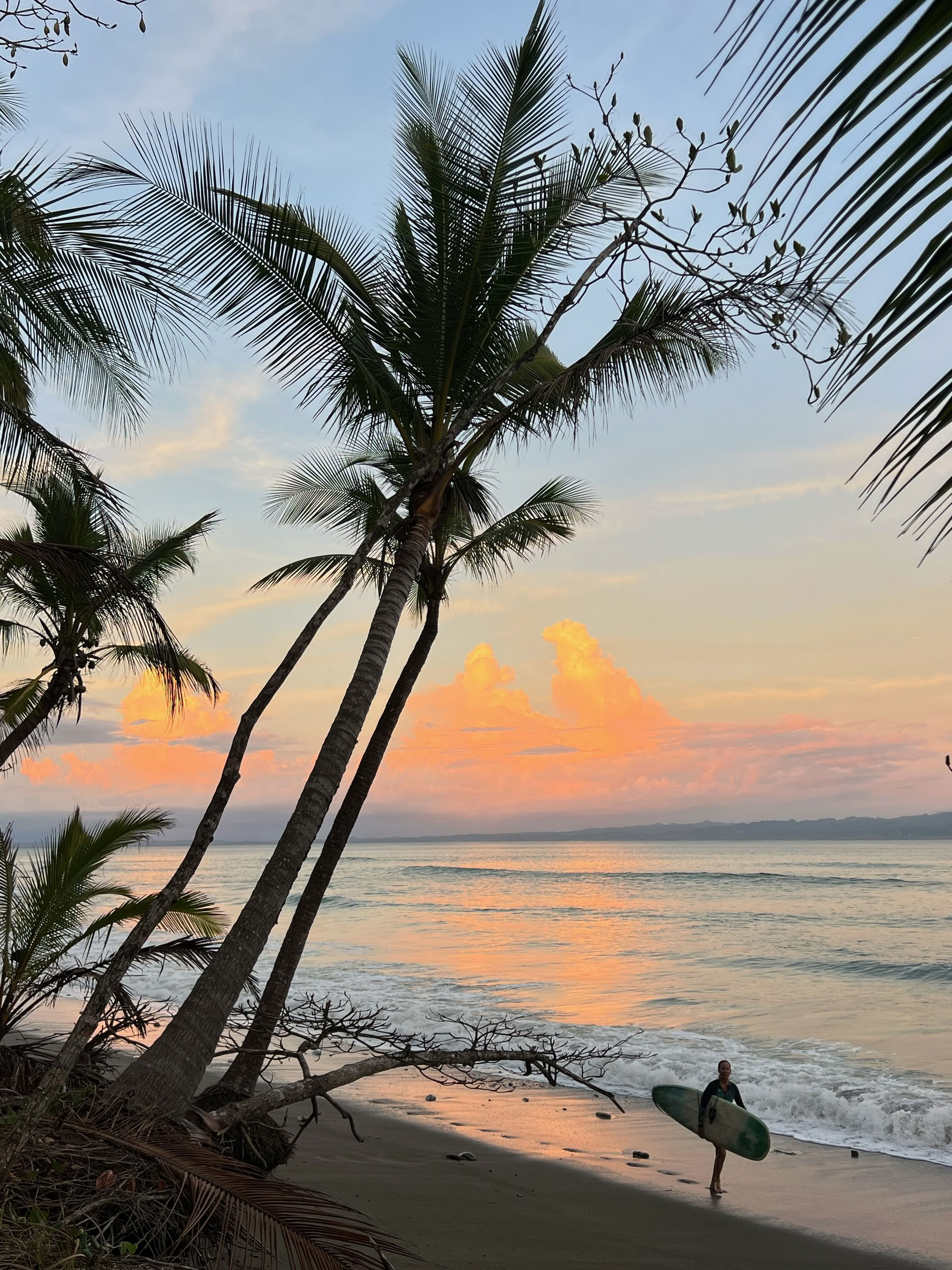 Yoga & Surf sulla Penisola di Osa, 13-20 marzo 2027 — ASHTANGA MONTAUK