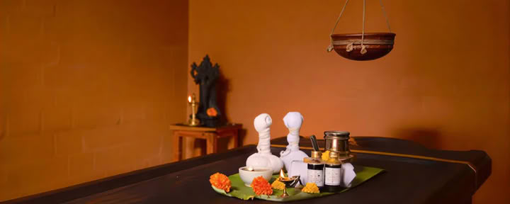 28 Giorni di Trattamento Panchakarma presso Vaidyagrama — Coimbatore