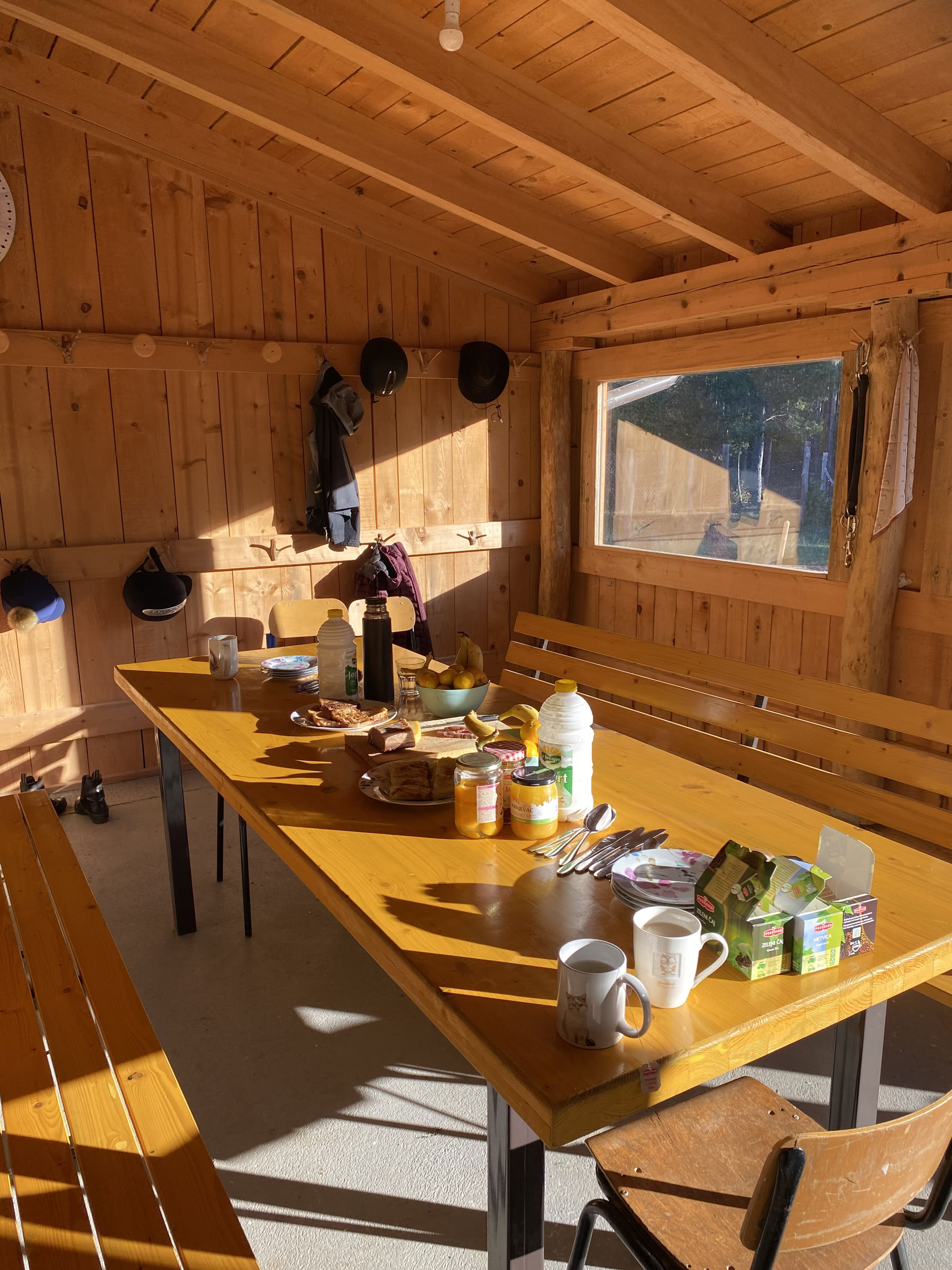 Healing a cavallo | Bosnia 18th - 23rd October