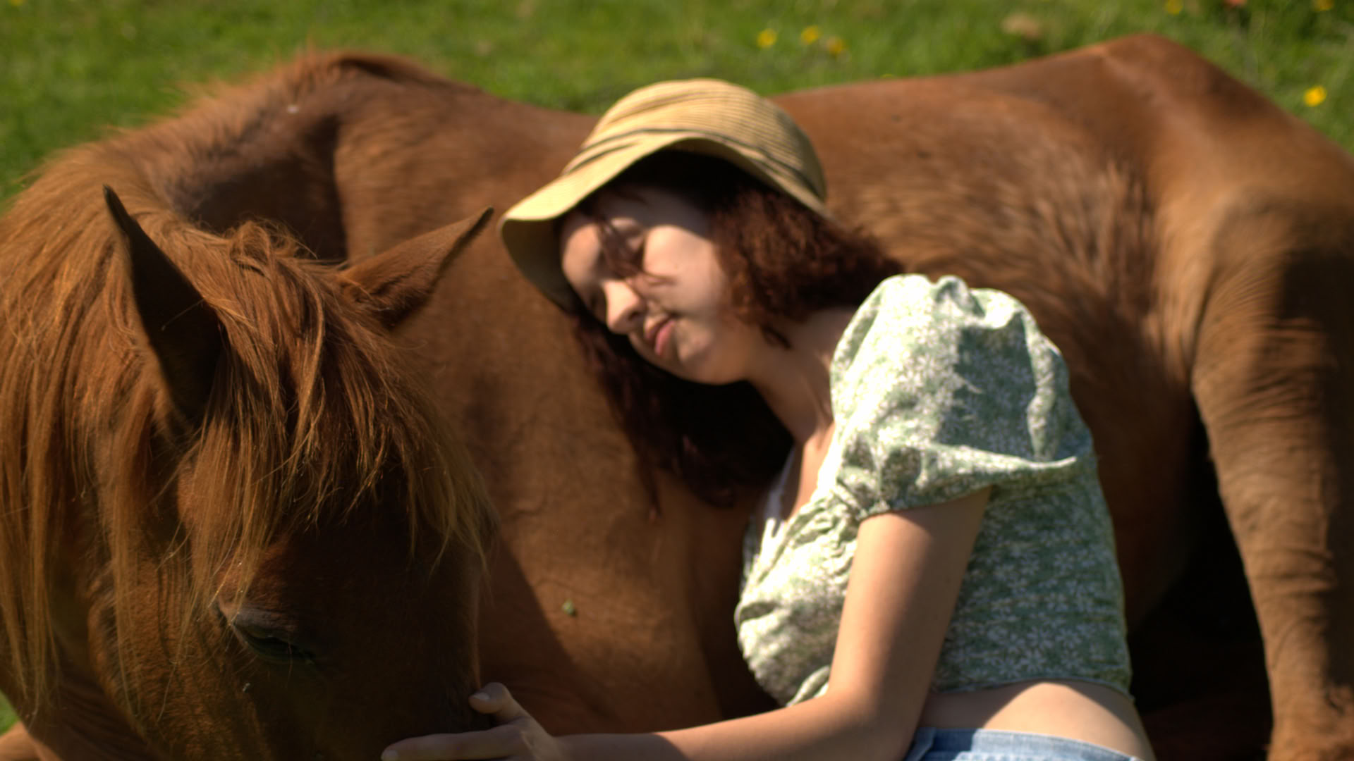 Healing a cavallo | Bosnia 18th - 23rd October