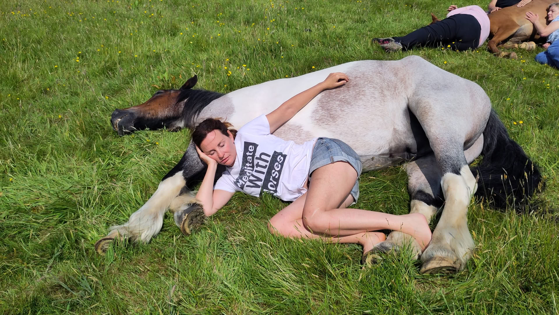 Silent Healing With Horses 23/08/2026 fino al 28/08/2026