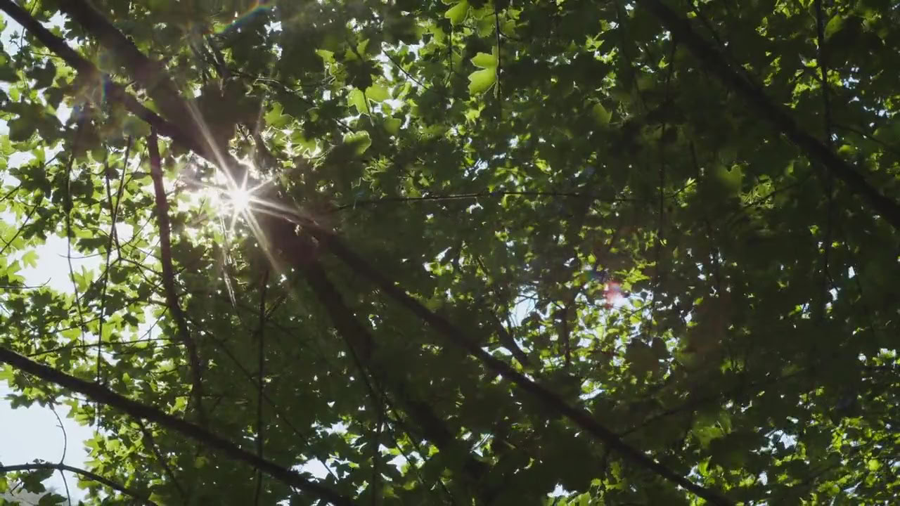 Breathwork Ritiro: Respira e Inizia