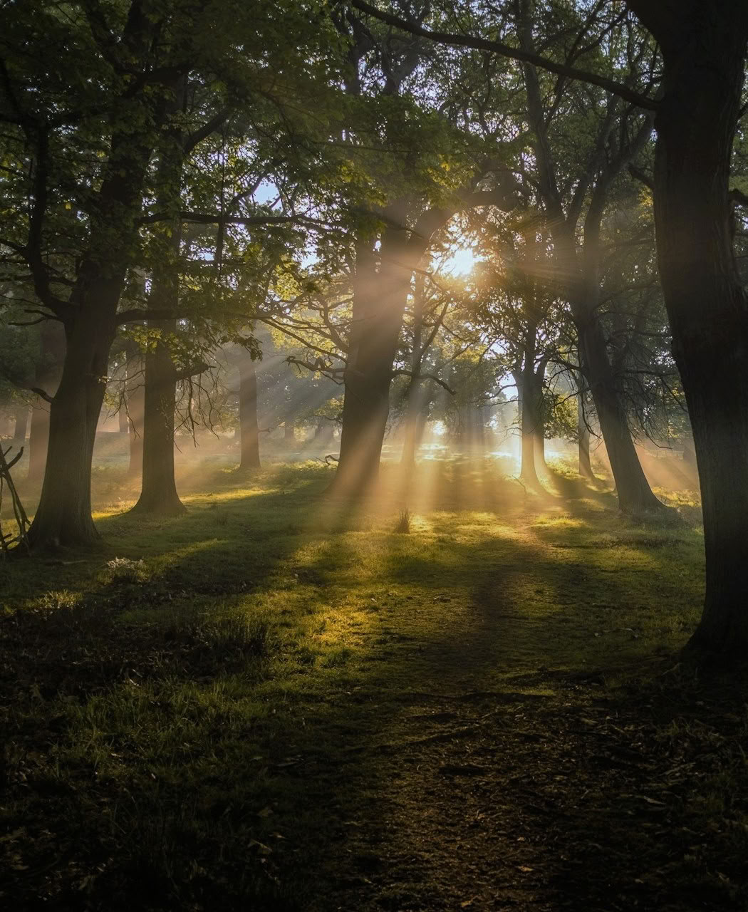 Breathwork Ritiro: Respira e Inizia
