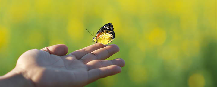 Guarire il trauma con il Breathwork
