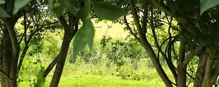 Yoga & Ayurveda Ritiro per l’equilibrio ormonale