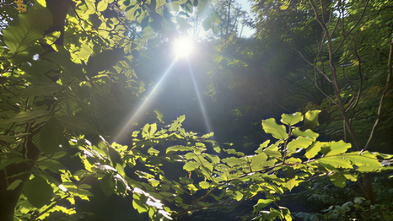 Achtsamkeit und Metta – Un weekend di yoga