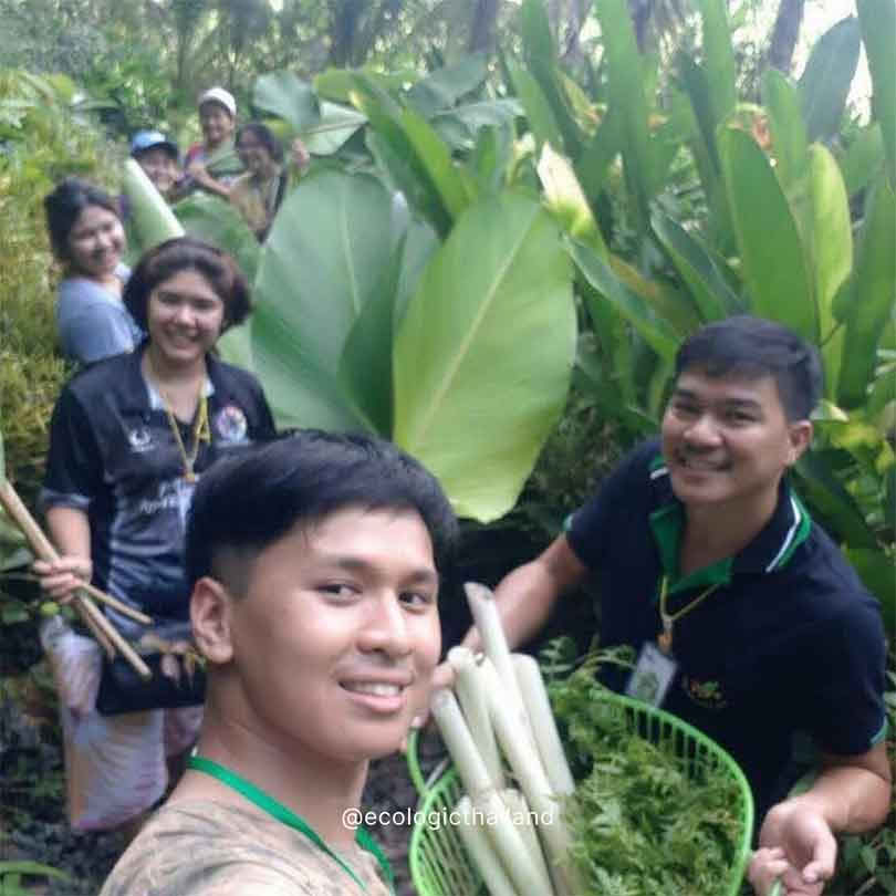Progetto Food Forest e Karma Yoga
