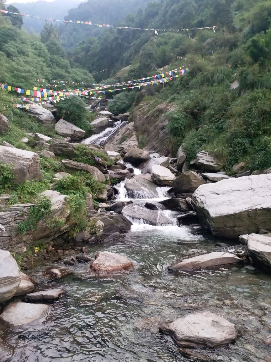 200 Hour Yoga Teacher Training a Dharamsala