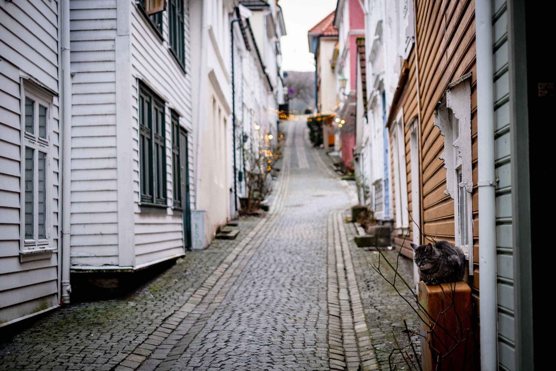 Norvegia Yoga & Backpacking