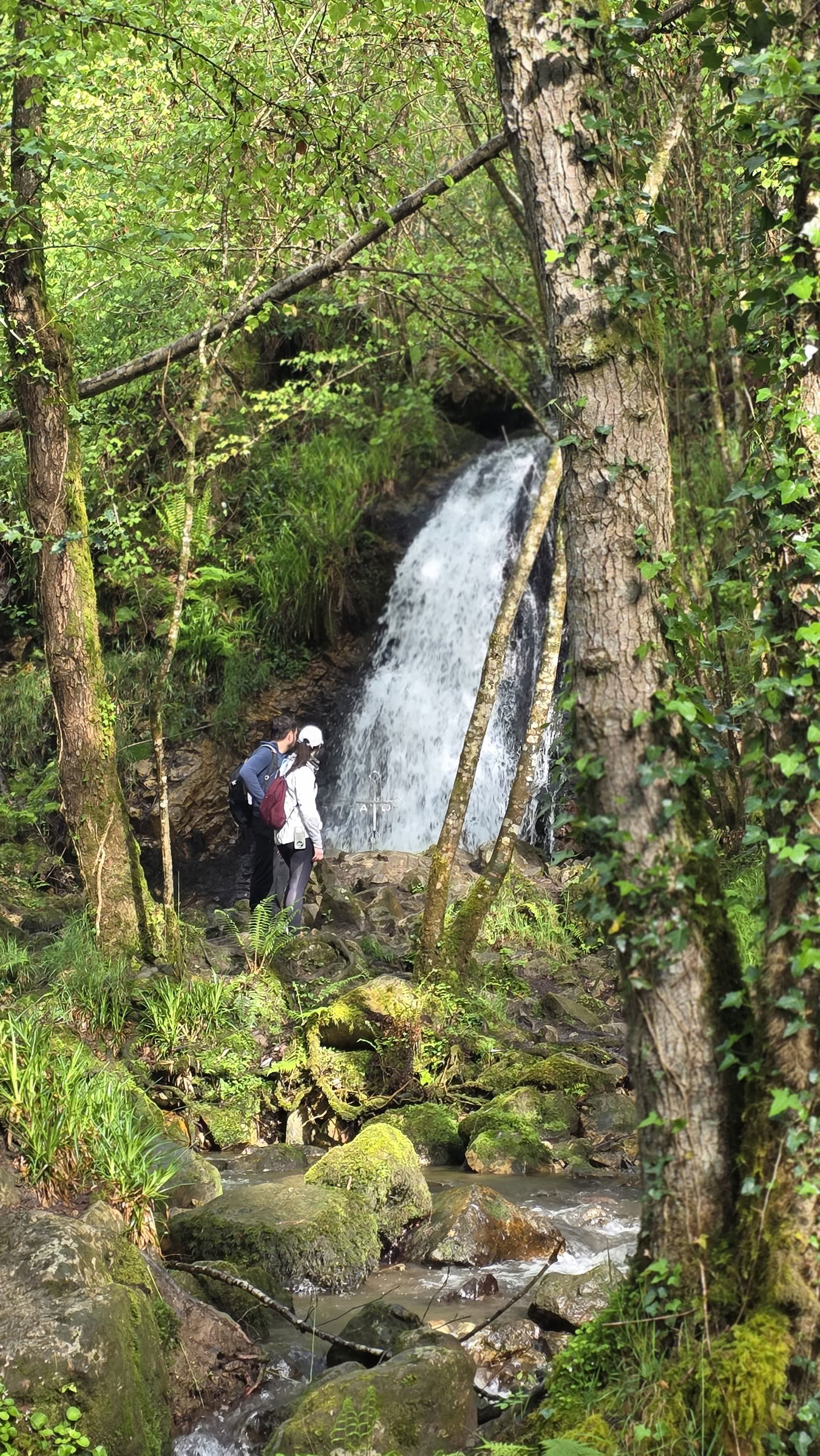 Trekking dell'Eclissi sul Camino