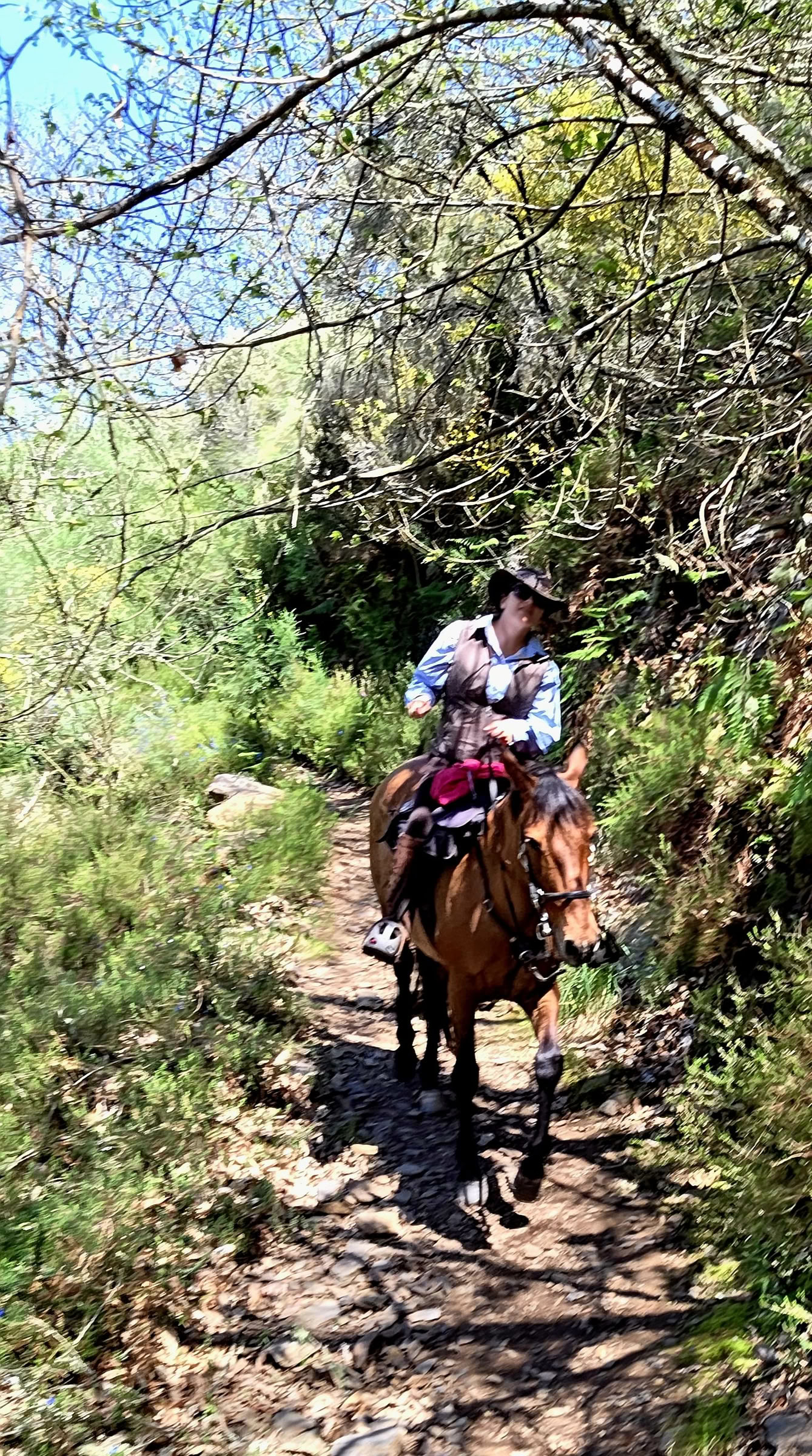 Trekking in Giordania