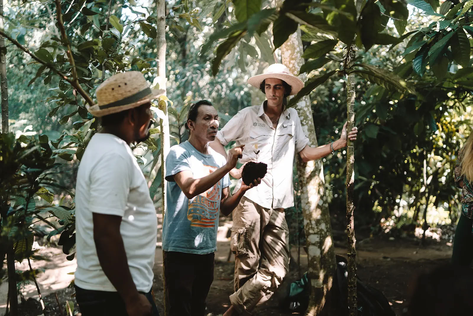 Programma di formazione Cacao Source