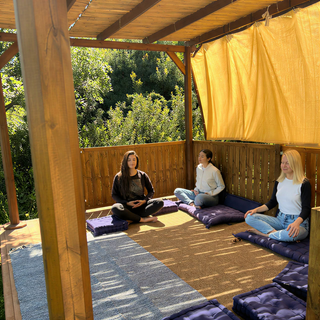 Ritiro di raccolta delle olive e yoga