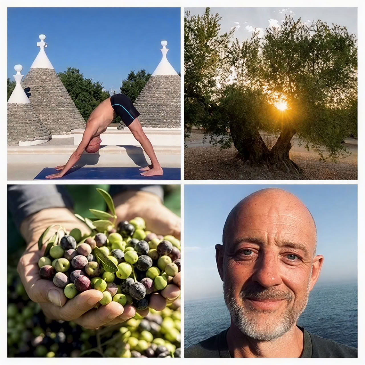 Ritiro di raccolta delle olive e yoga