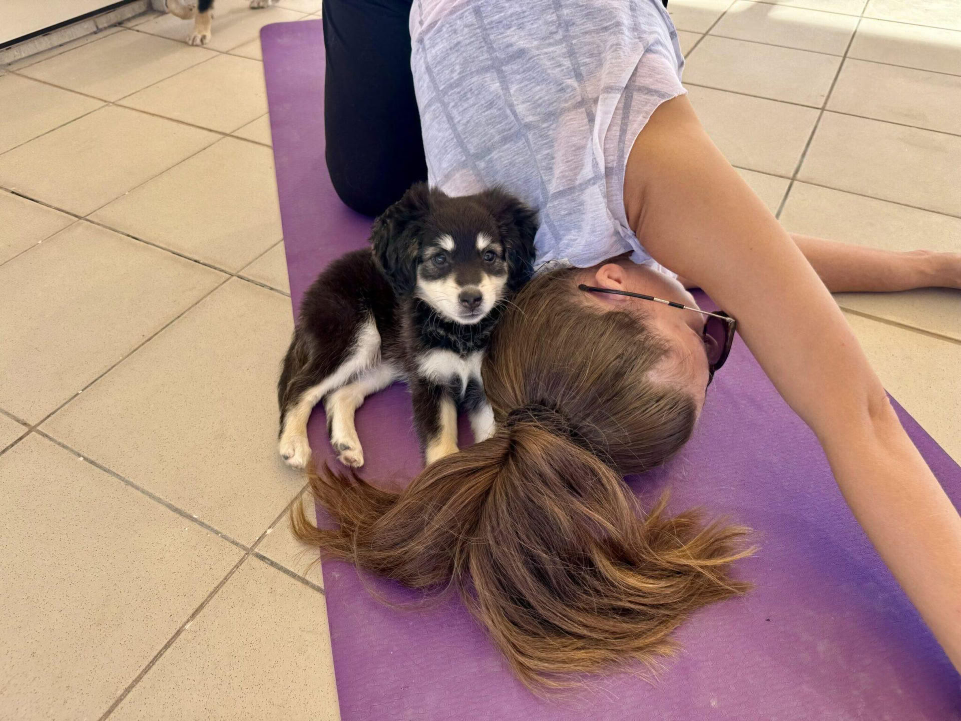 Lezione di Puppy Yoga
