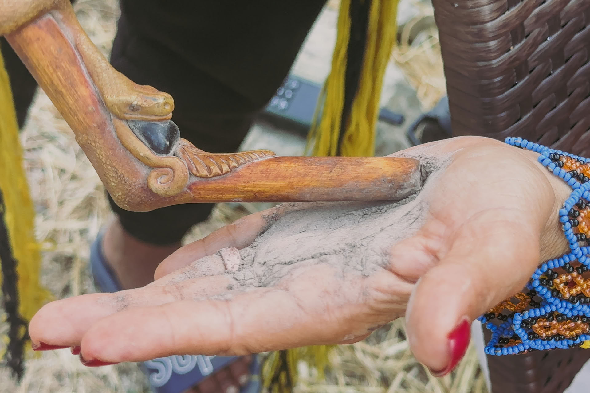 Cerimonie Sacre della Madre Ayahuasca