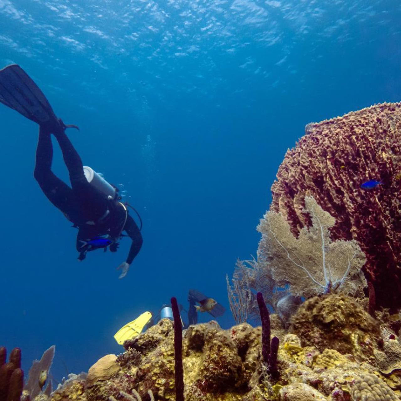 Depth & Discovery: Una spedizione subacquea Mahai