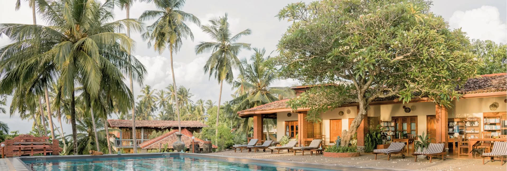 Sri Lanka Ritiro – Aprile 2027