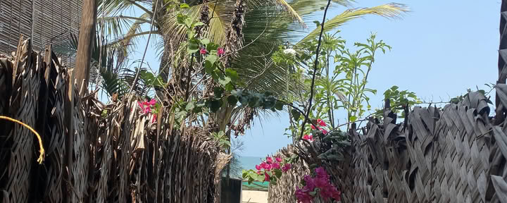 1:1 Ritiro di Trasformazione