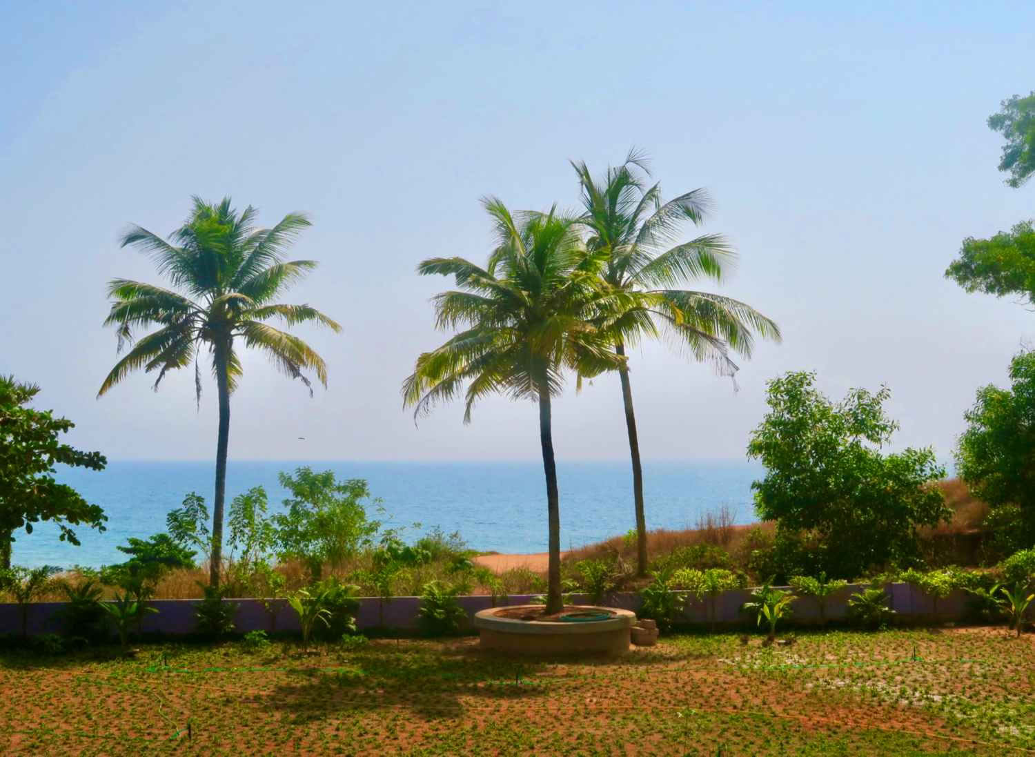 14 giorni di ritiro Panchakarma e Yoga a Varkala, Kerala