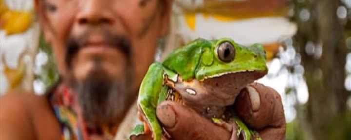 Cerimonia Kambô