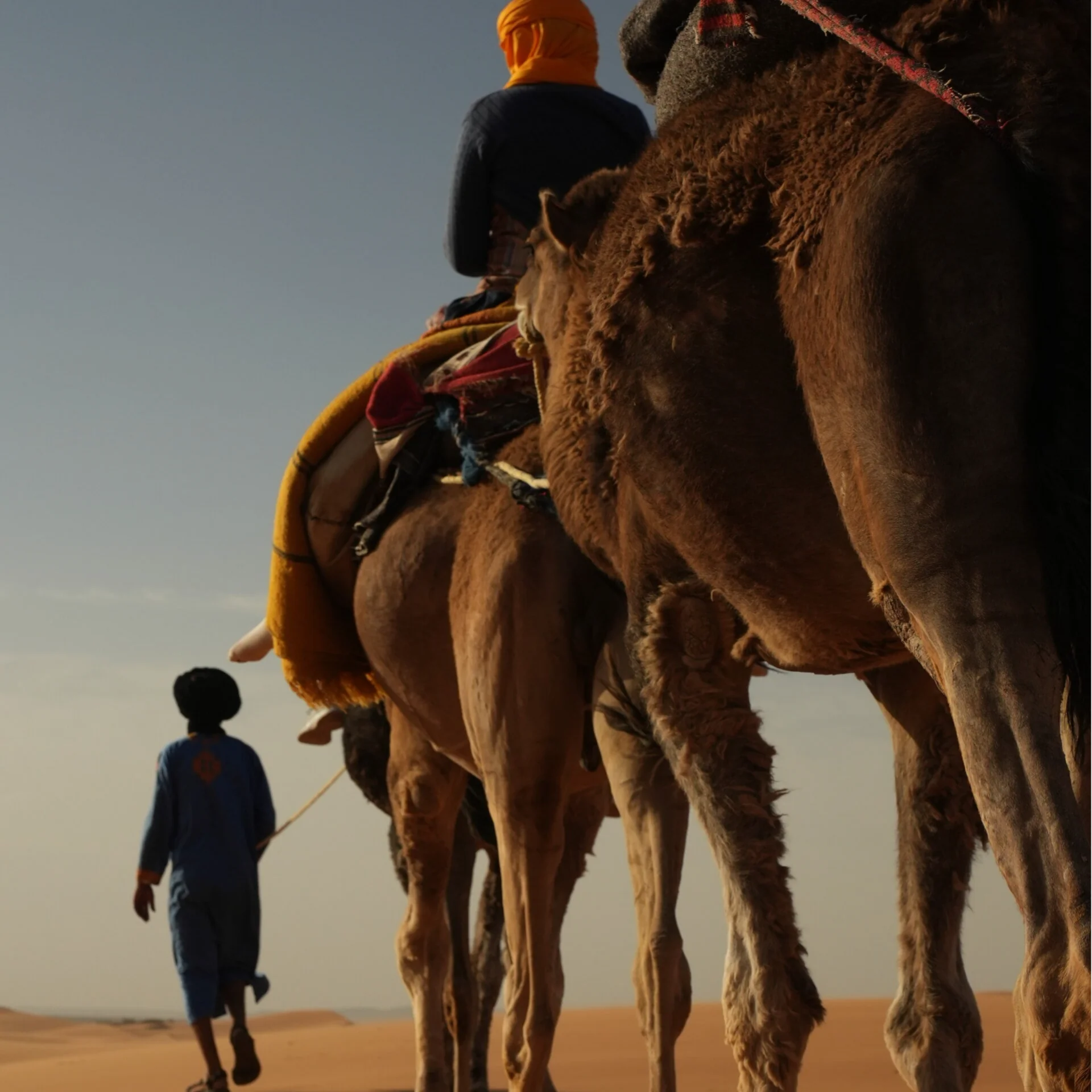 Ritiro Feminine Fire Morocco – Yoga, Danza, Cerimonia del Cacao ed Esperienza nel Deserto del Sahara