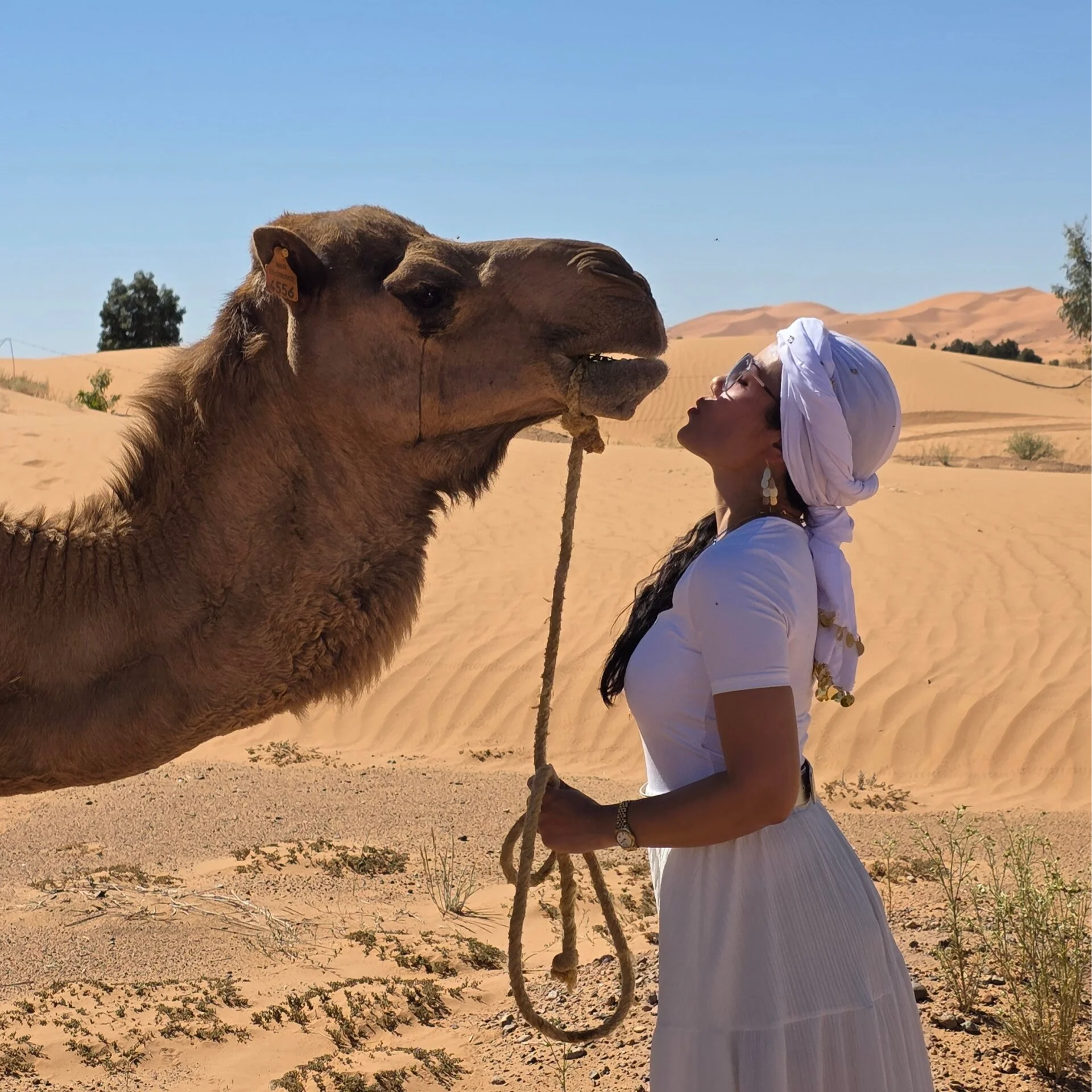 Ritiro di yoga e esplorazione del deserto di 9 giorni "Trova la tua forza interiore