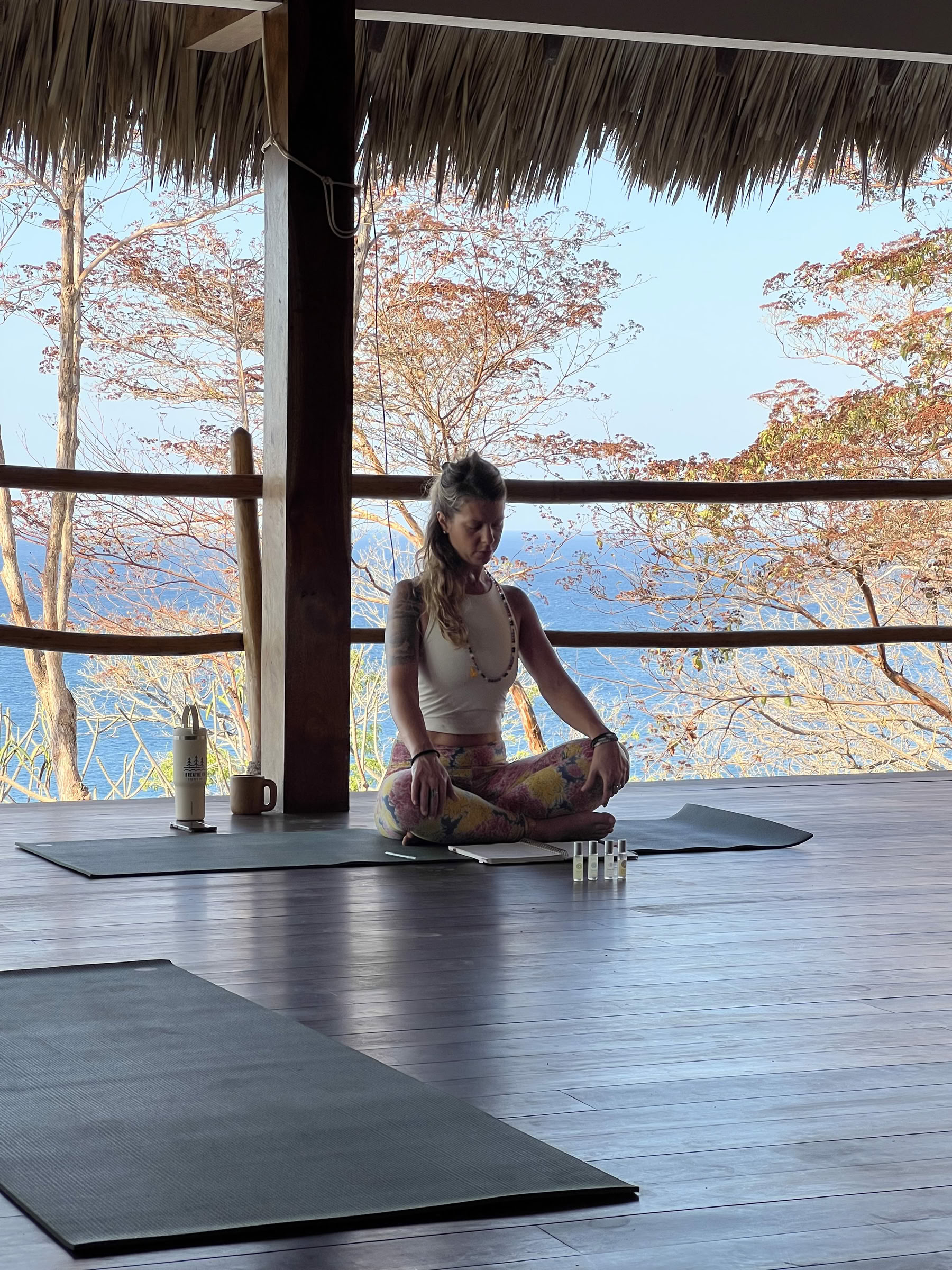 Usui Reiki e Ritiro Yoga — Mother of Pearl Healing Center