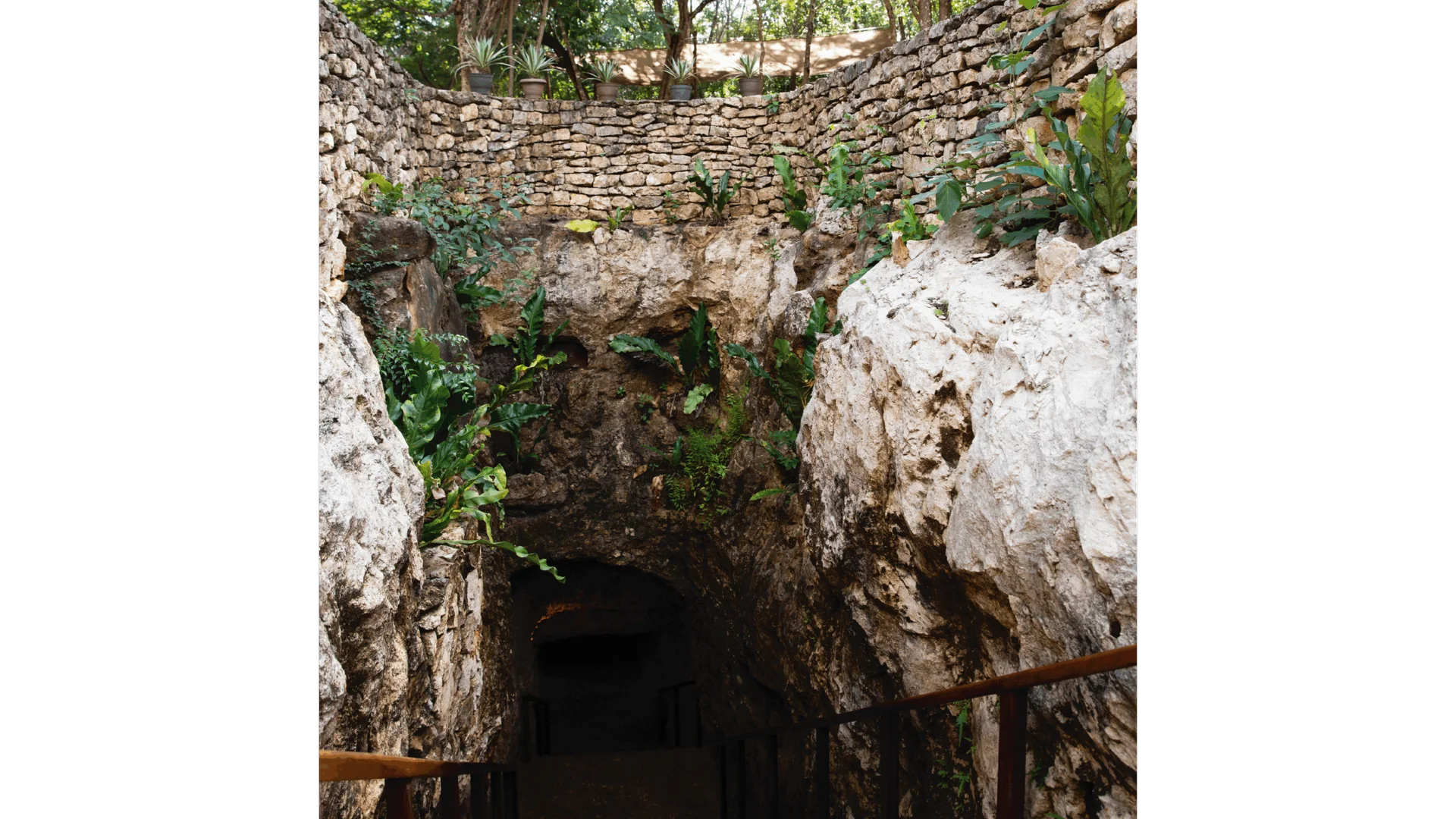 Acqua e Fuoco – Cenote e Temazcal