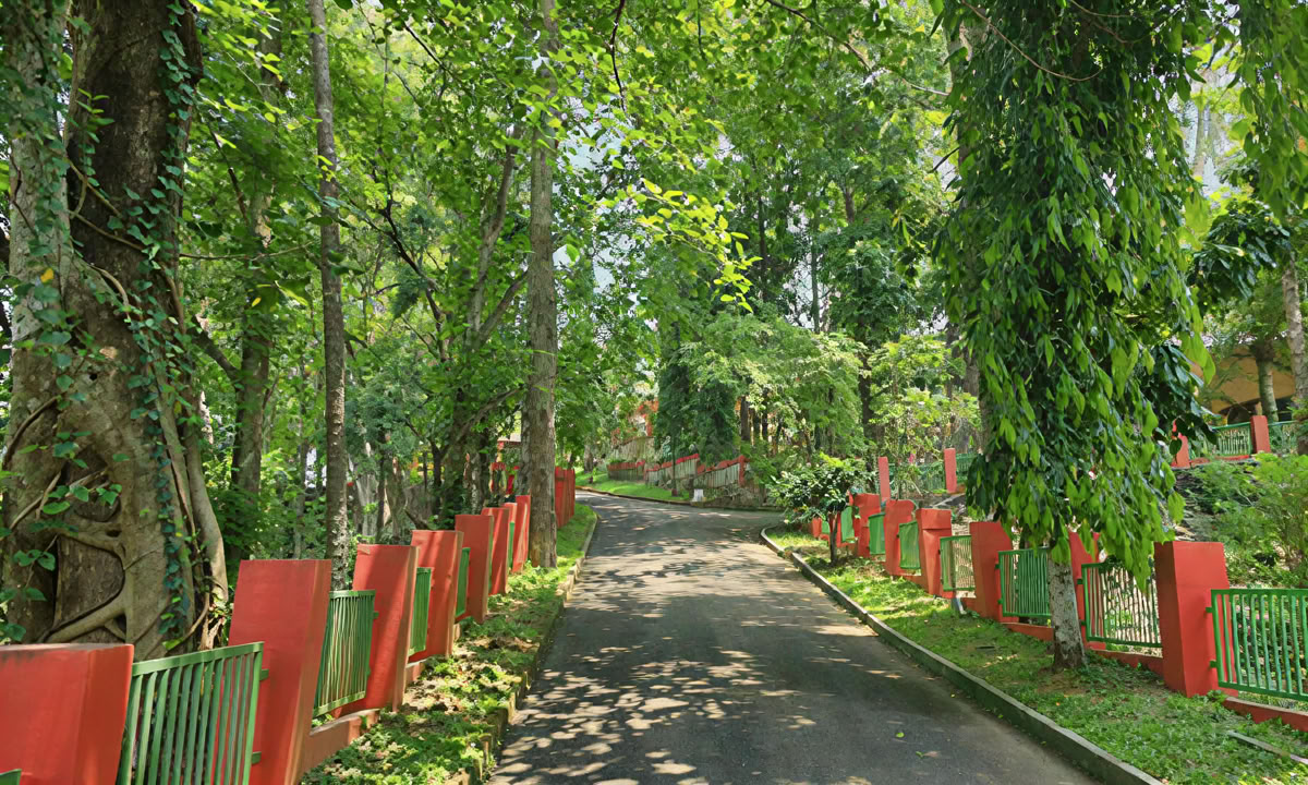 7, 14, 21 O 28 GIORNI PROGRAMMA DI RIGENERAZIONE