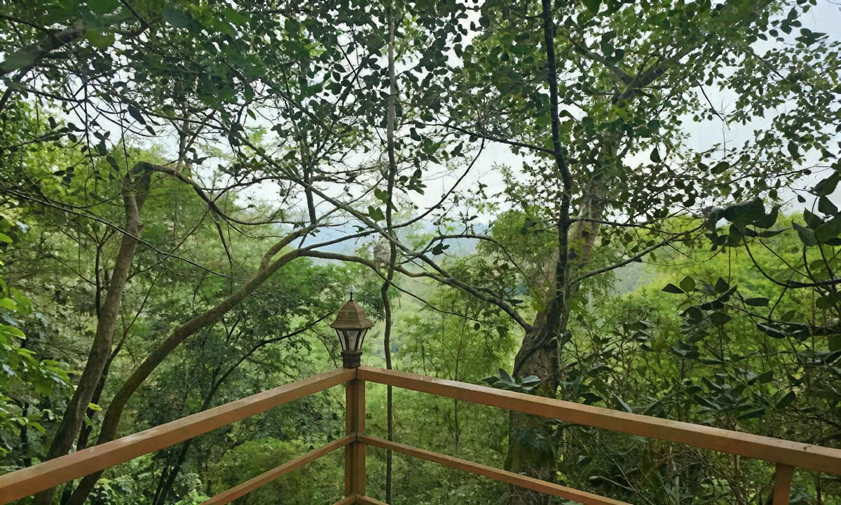 TRATTAMENTO PANCHAKARMA DI 28 GIORNI IN KERALA
