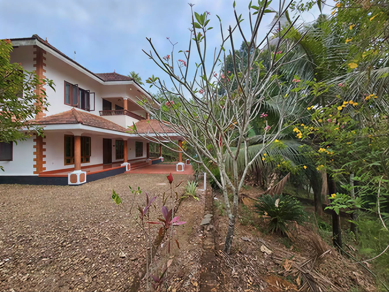 Corso di Yoga in Kerala