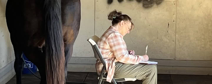 Ritiro per donne a cavallo di apprendimento esperienziale di livello superiore per i partecipanti di ritorno di 4 giorni