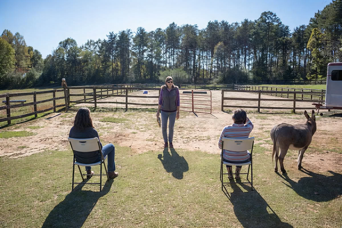 Horse Harmony: Un ritiro di 3 giorni per l’equilibrio e il benessere delle donne