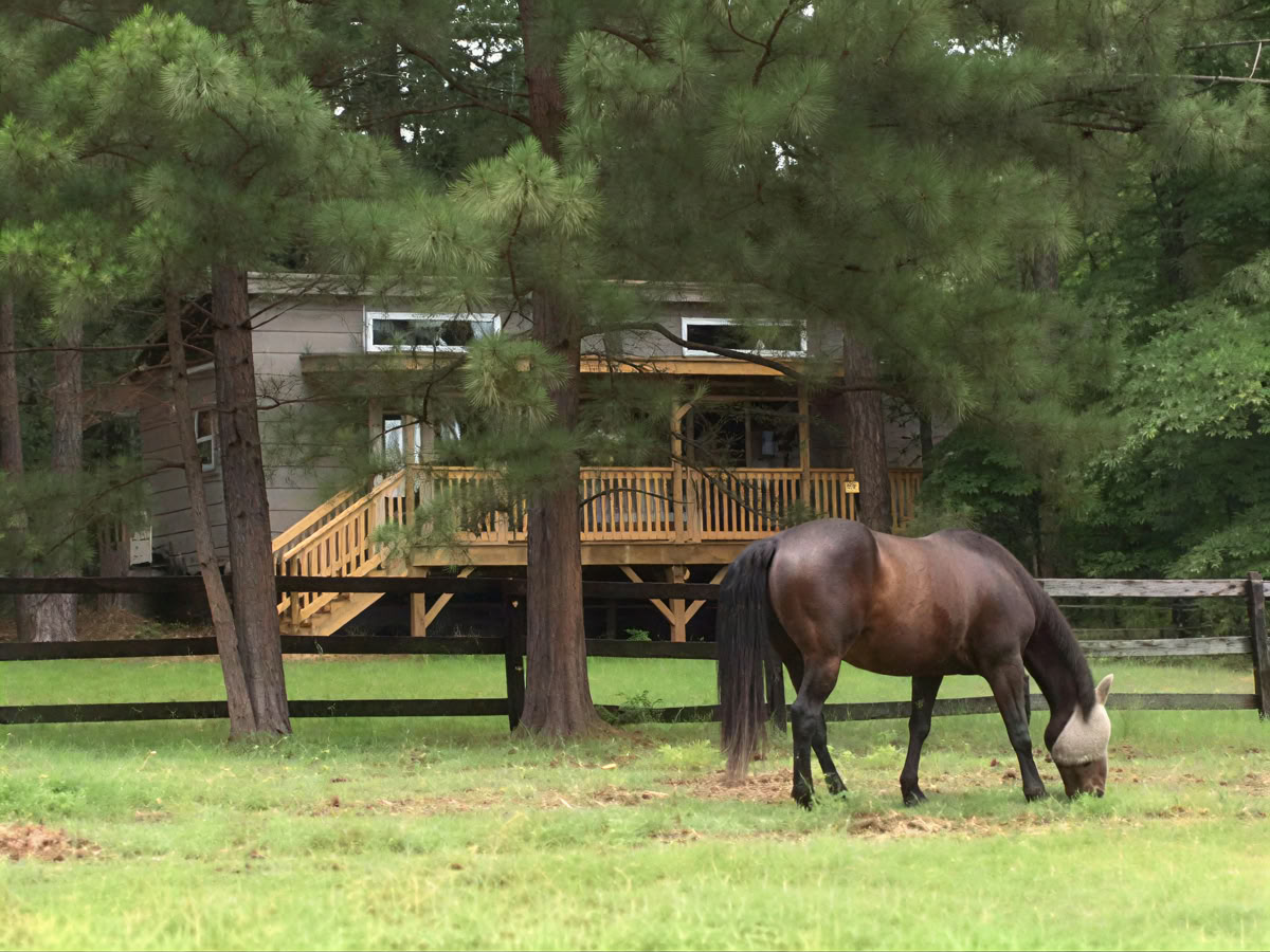 Horse Harmony: Un ritiro di 3 giorni per l’equilibrio e il benessere delle donne