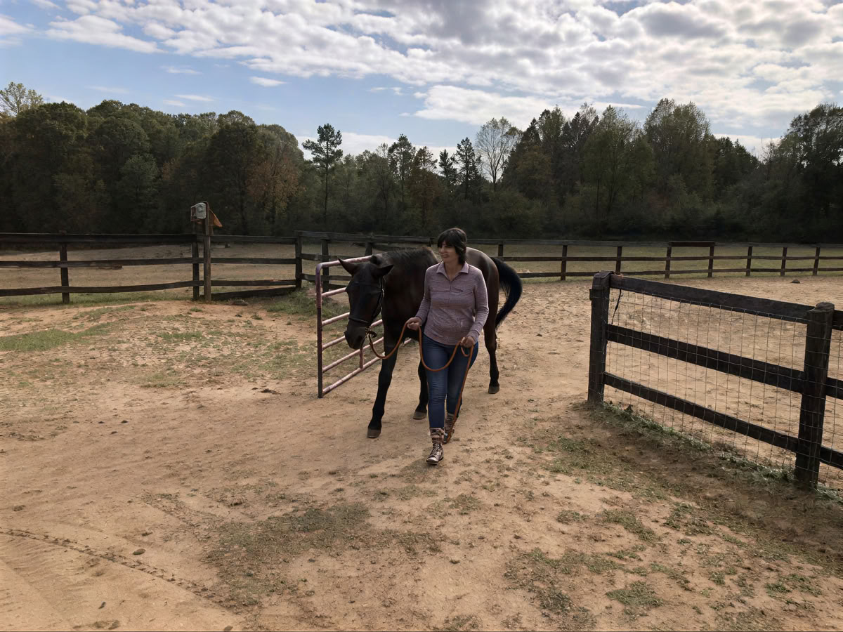 Horse Harmony: Un ritiro di 3 giorni per l’equilibrio e il benessere delle donne